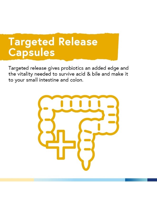 Terranics Terranics Probiotics with Prebiotics, 60 Billion CFU, 20 Strains  - Image 3