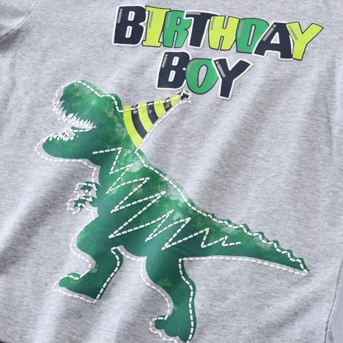 WAWSAM Dinosaur Birthday Boy T-Shirt Toddler B-Day Dino Party Shirts T Rex Top Tee Gift Cotton Graphic Short Sleeve Gray Printed T-Shirt Outfits for Boy Kids - Image 2