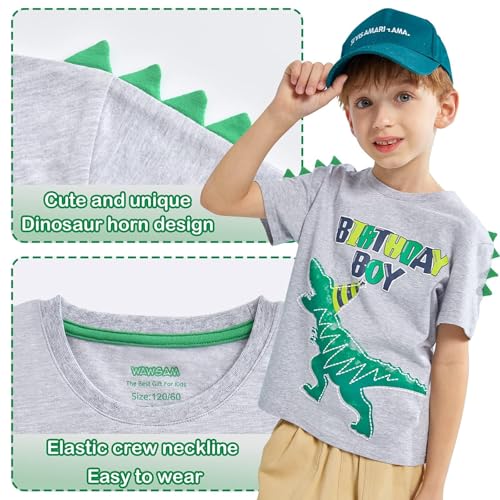 WAWSAM Dinosaur Birthday Boy T-Shirt Toddler B-Day Dino Party Shirts T Rex Top Tee Gift Cotton Graphic Short Sleeve Gray Printed T-Shirt Outfits for Boy Kids - Image 3