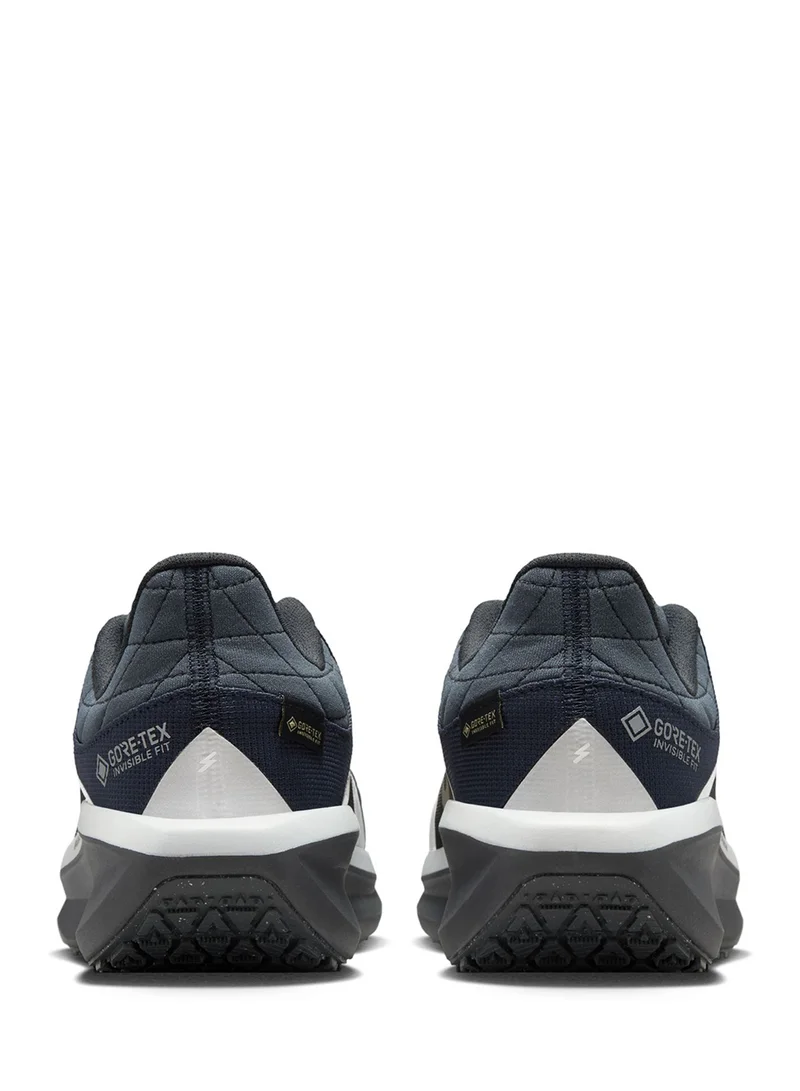 Nike Air Winflo 11 Gtx