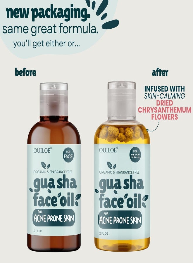 Ouiloe Gua Sha Oil for Acne Prone Skin - Non Comedogenic Face Oil for Gua Sha & Lymphatic Drainage - Safe for Sensitive Skin - Unscented, Non Greasy, Non Irritating, Lightweight, 2oz - Image 2