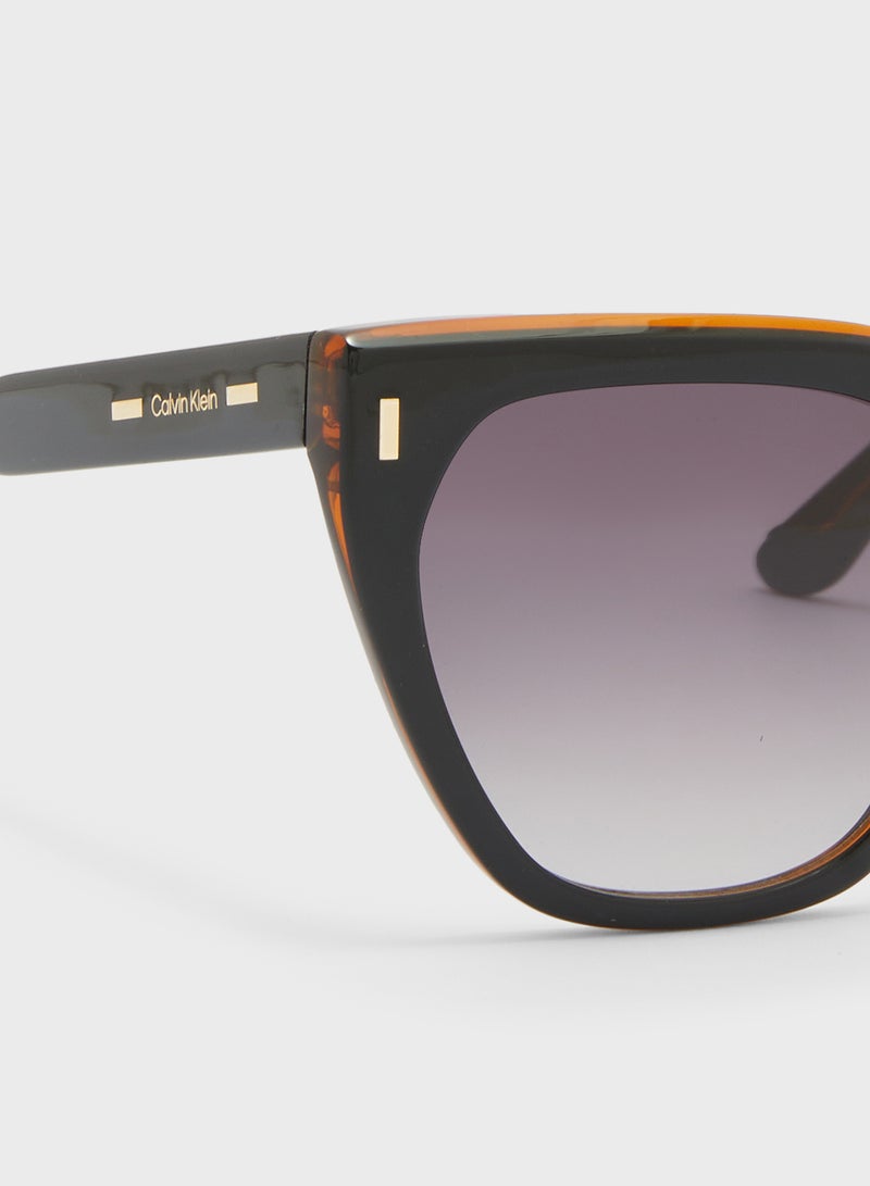 كالفن كلاين نظارات شمسية بفراشة - Image 4