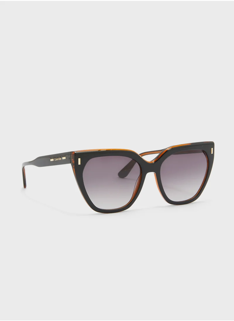 كالفن كلاين Butterfly Sunglasses