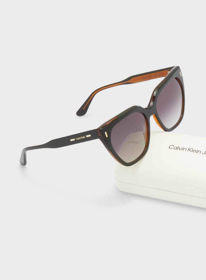 كالفن كلاين نظارات شمسية بفراشة - Image 5