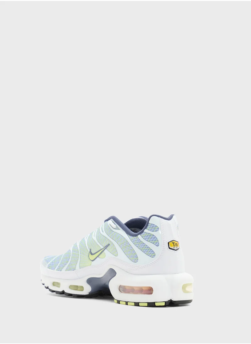 Nike Air Max Plus Og