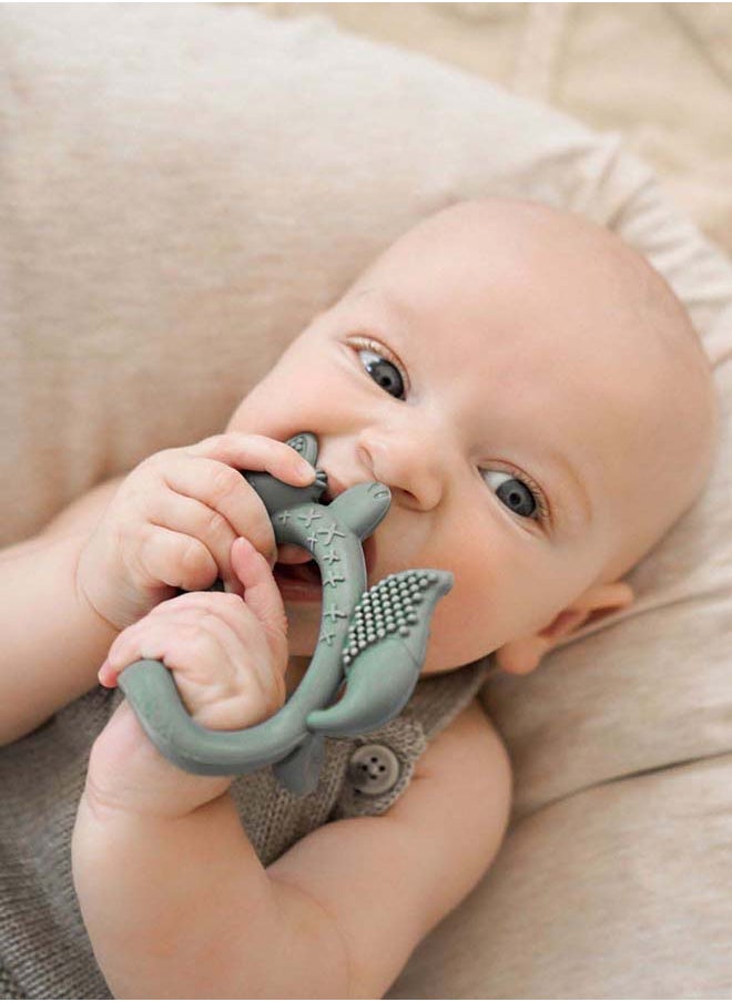 Multi-Sensory Silicone Innovative Wrist Teether - Sage, 3 Months + - pzsku/Z5D5F468631E245E580EAZ/45/_/1715313491/60f9dccf-9770-4657-b8fd-44c6635adb38