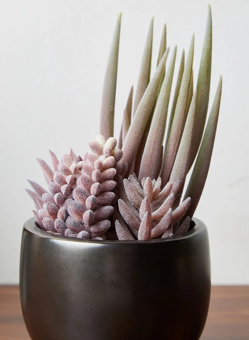 Premier Fiori Faux Mixed Succulents Plant In Ceramic Pot