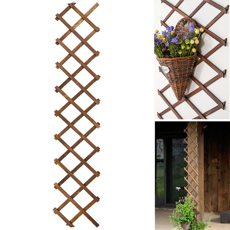 CJGQ Wooden Lattice Wall-Expandable Plant Garden Trellis for Climbing Plants Outdoor Air Plant Vertical Rack Wall Decor for Room Patio - Image 1