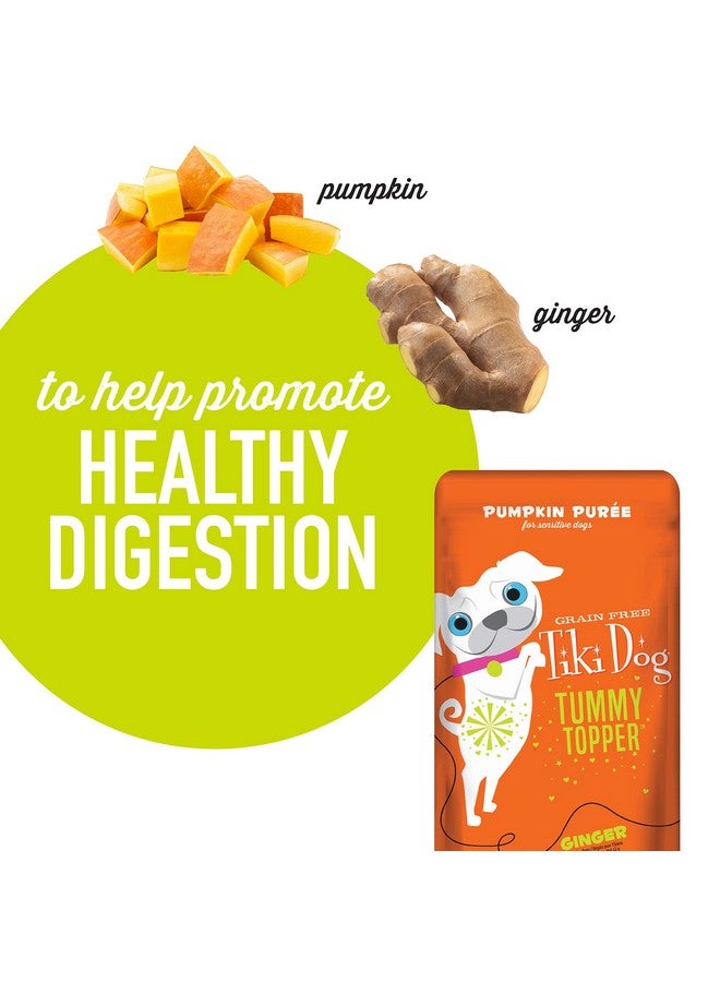 Tiki Dog SingleServe Tummy Topper, GrainFree Pumpkin Purée With Ginger For Sensitive Stomachs, 1.5Oz Pouches (Pack Of 12) - Image 5