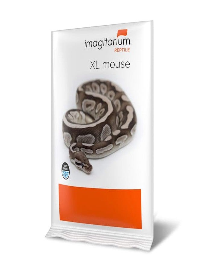 imagitarium Frozen XL Mouse, Count of 25 - Image 1