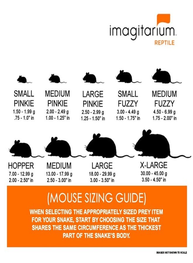 imagitarium Frozen XL Mouse, Count of 25 - Image 3