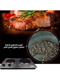 Generic Double Electric Heater 1000W+1500W Electric Heater, Stainless Steel Plates, Precise Temperature Control  - Image 3