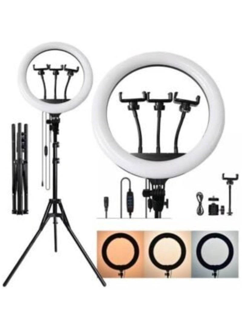 Ring Light with 3 Color Modes Dimmable LED Photography, YouTube, Video & Photo Shoot, Live Stream, Makeup, Vlogging, Compatible with iPhone/Android & Cameras, 3 Holders + Remote (Ring 46cm + Stand)  - Image 2