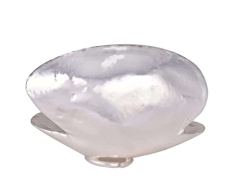Lavanaya Silver - Gold Plated Laxmi Ganesh Idol Sitting On Silver Sea Shell Diwali Gift, Laxmi Ganesh Idol for Gift (Silver Gold) - Image 3
