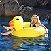 GoFloats Duck Party Tube Inflatable Raft Float In Style for Adults and Kids - Image 4