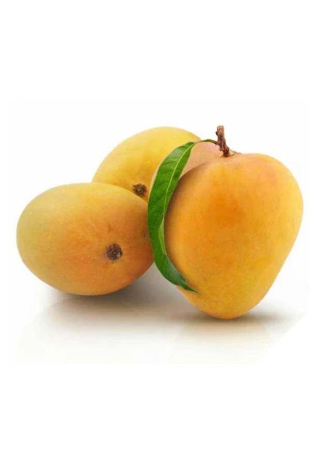 مانجو أنواراتول (جواً), حوالى 180 غرام للقطعة