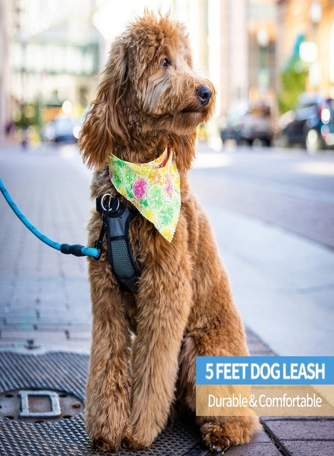 BAAPET 2/4/5/6 FT Dog Leash with Comfortable Padded Handle and Highly Reflective Threads for Small Medium and Large Dogs (5FT-1/2'', Blue) - Image 5