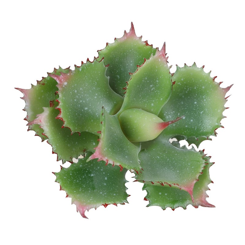 Duovlo Artificial Succulent Plant 7.08 Inch Faux Succulents Agave potatorum Flower Arrangement Craft Wall DIY Materials Pack of 2 (Green) - Image 1