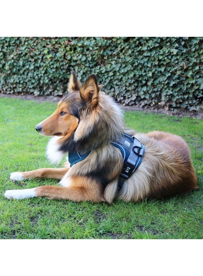 Duvo + Duvo+ Ultimate Fit No-Pull Harness Classic Xs - 28-37Cm - 32- 43cm Petrol Blue - Image 3