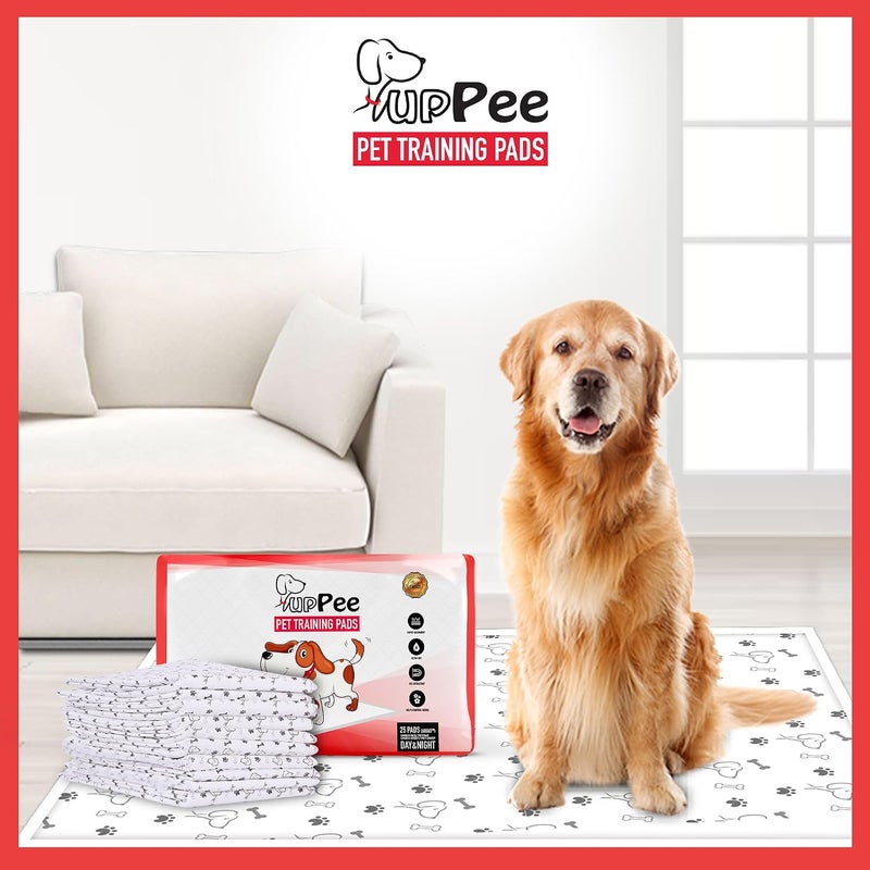 PupPee Pet Training Pads, Super Absorbent, Water Proof, Non Slippery, 60X45cm, Medium, 25 Count - Image 2