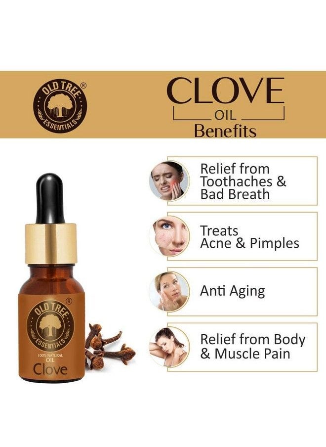 Old Tree Clove Bud Oil 15 Ml  - Image 4