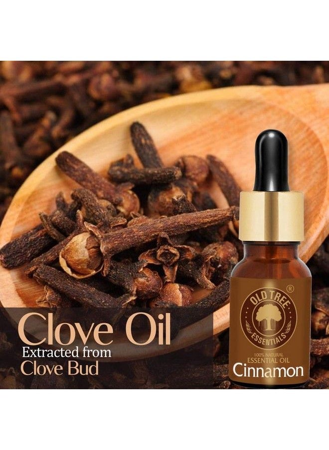 Old Tree Clove Bud Oil 15 Ml  - Image 3