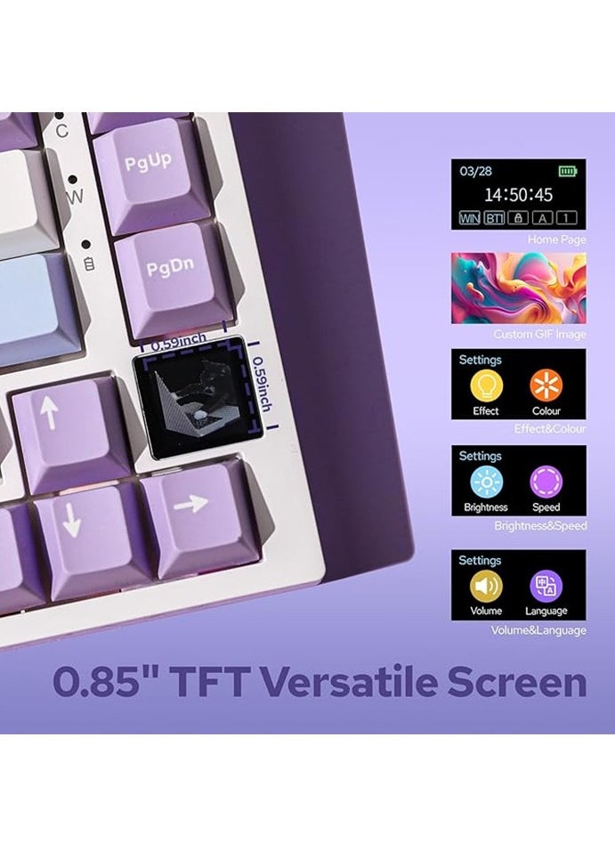 AK820 Pro Gaming Keyboard,75% Gasket-mounted Mechanical Keyboard with TFT Screen, RGB Light, 3 Modes(Bluetooth 5.1/2.4G Wireless & Type-C Wired), Sound Dampening Foams (Purple White, Ajazz Flying Fish Switch) - pzsku/Z5D6954B25EA047B387EAZ/45/_/1736039950/624e8c09-562c-4564-88fb-5c95efcc0c38