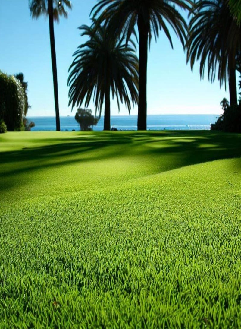 GGOOT Bahia, Bermuda, Grass Seeds for Lawn and Pasture, Livestock Grazing, Choose Color and Amount (5 g, Argentine Bahia Coated) - Image 1