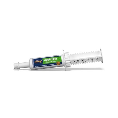 Farnam Apple Elite Electrolyte Paste Supplement for Horses, Replaces Vital Minerals, Encourages Hydration, No Added Sugar, 60 cc syringe - Image 1