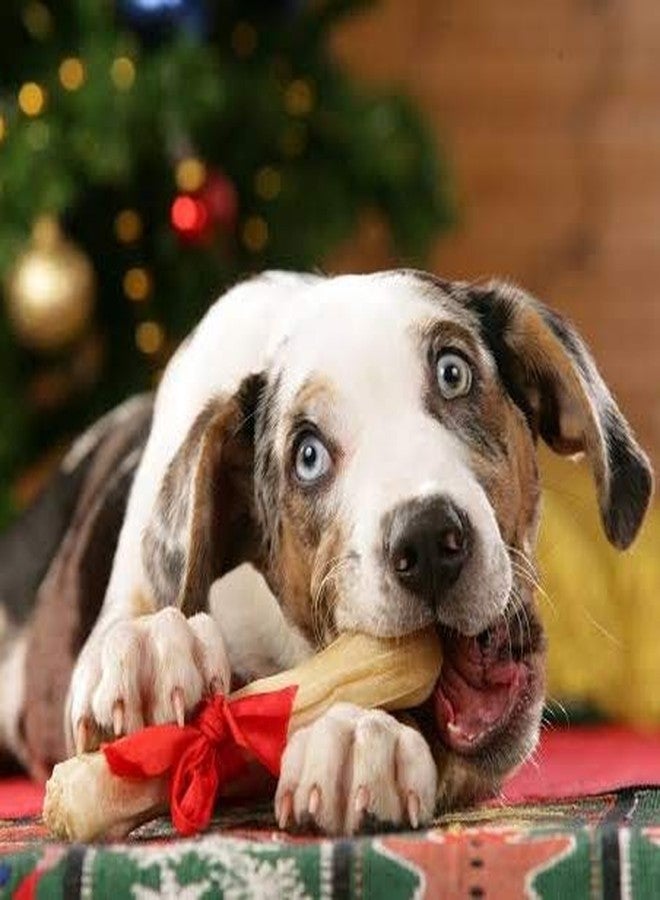 PETLICIOUS & MORE عظام الكلاب من الجلد الخام من بيتليشوس آند مور، 6 بوصات، عظام مضغوطة (عبوة من 6 قطع) - Image 2