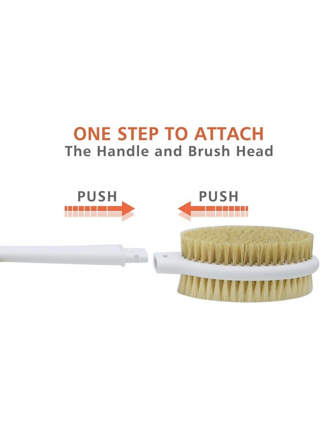 HONOMA Shower Brush With Soft And Stiff Bristles 20.5" Extra Long Handle Dual Sided Back Scrubber Bath Brush Body Exfoliator For Wet Or Dry Brushing (Extra Long Handle) - Image 4
