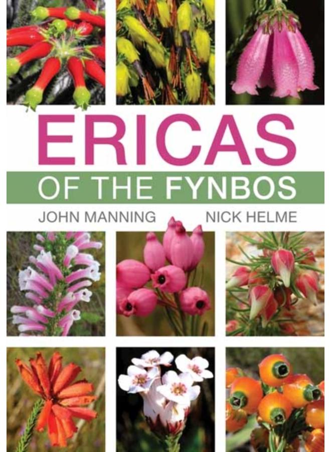 Ericas of the Fynbos 