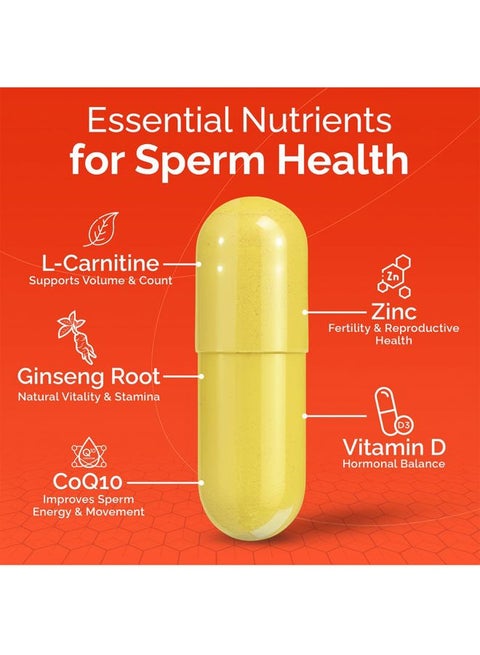 l carnitine supplement sperm FertilAid for Men and MotilityBoost Combo, Prenatal Vitamins and Male Fertility to Support Count and Motility with L-Carnitine, CoQ10, Zinc and More, 150 Capsules, 1 Month Supply : Health & pcoskey FertilMale | Male Fertility
