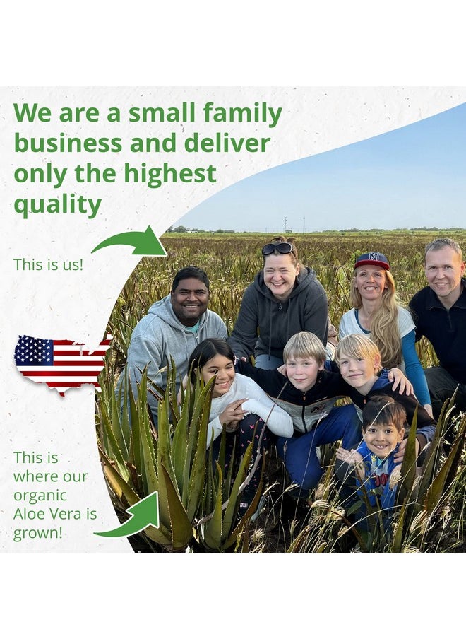 Seven Minerals Seven Minerals Organic Aloe Vera Gel from freshly cut 100% Pure Aloe - Big 12oz - HighestQuality, Texas grown, Vegan, Unscented - For Face, Skin, Hair, Sunburn relief  - Image 3