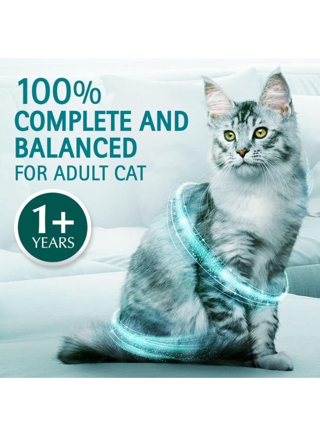 Purina ONE Cat Food With Hairball Control Chicken Flavour 380G - Image 3