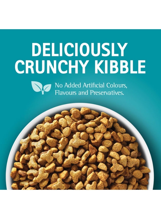 Purina ONE Cat Food With Hairball Control Chicken Flavour 380G - Image 2