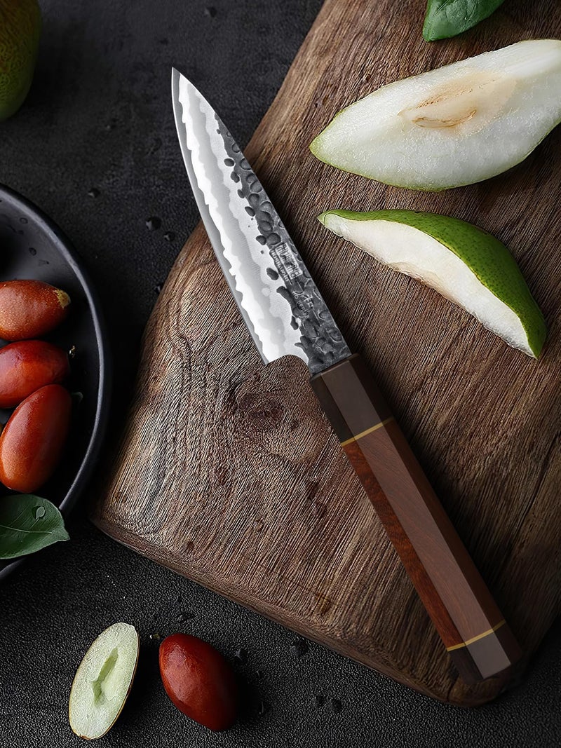 HOSHANHO Paring Knife 3.75 Inch Peeling knife, Razor Sharp Japanese High Carbon Steel Small Kitchen Knife, Hand Forged Fruit Knives for Peeling & Coring with Ergonomic Handle - Image 5