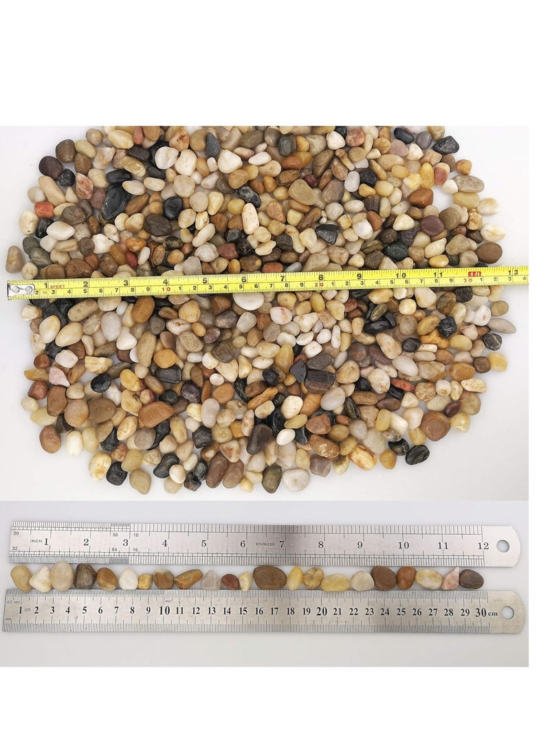 ڤسيل24 حصى صخور النهر الطبيعية بوزن 3 كجم - أحجار زينة لديكور المنزل وأحواض السمك والحدائق والمناظر الطبيعية - Image 2