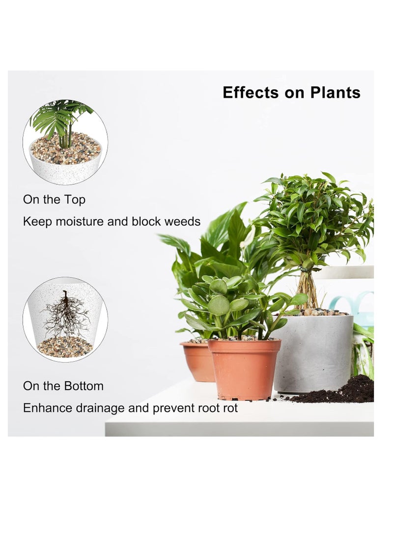 ڤسيل24 حصى صخور النهر الطبيعية بوزن 3 كجم - أحجار زينة لديكور المنزل وأحواض السمك والحدائق والمناظر الطبيعية - Image 5