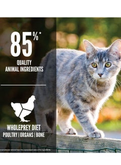 Orijen ORIJEN Original Grain-Free Dry Cat Food 1.8kg  - Image 4