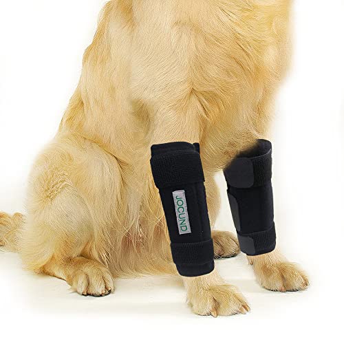 JOCUND Dog Front Leg Brace, Pair of Dog Leg Brace with Metal Strips, Canine Front Leg Hock Wrap Sleeve for Carpal Support, Protects Wounds Brace Heals and Prevents Injuries and Sprains (S/M) - Image 1