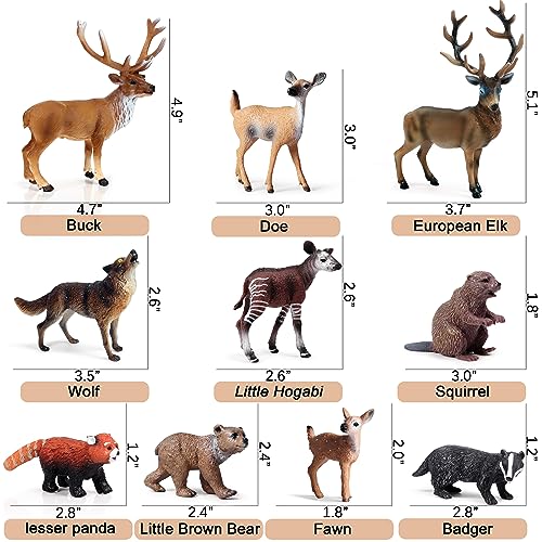SCAHOW Forest Animal Toys Figures 10PCS Plastic Woodland Animal Figurines for Cake Topper Realistic Miniature Wild Creature Toys Set with Elk Deer Wolf Bear etc - Image 5