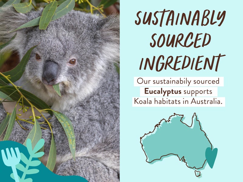 Babo Botanicals Eucalyptus Remedy 2-in-1 Bubble Bath & Wash - Invigorating Eucalyptus, Rosemary & Peppermint - For all ages - EWG Verified - Vegan - Image 3