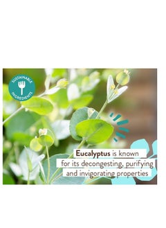 Babo Botanicals Babo Botanicals Eucalyptus Remedy 2-in-1 Bubble Bath & Wash - Invigorating Eucalyptus, Rosemary & Peppermint - For all ages - EWG Verified - Vegan  - Image 3