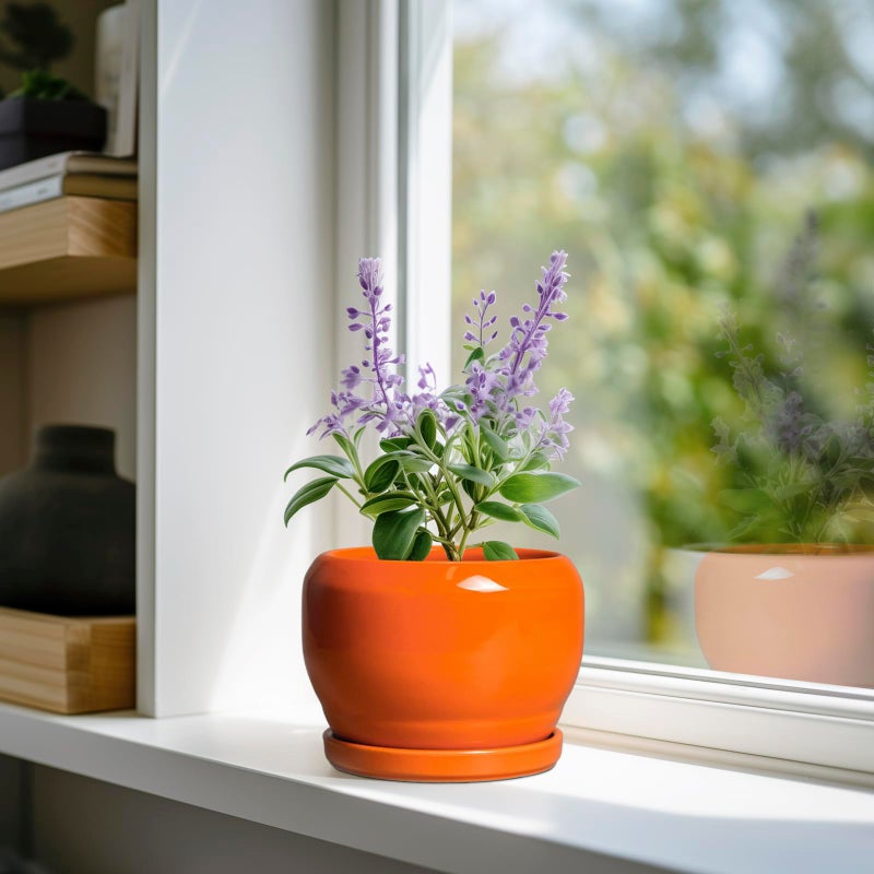 SQOWL Ceramic Plants Pots - 6 Inch Planter Indoor with Drainage Hole and Plant Saucer, Modern Round Planter Outdoor, Decorative Succulent Pot, Home Decor, Housewarming Gifts, Orange - Image 2