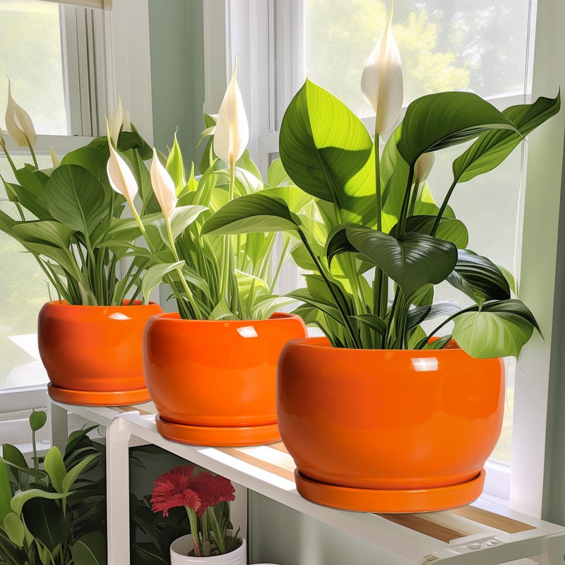 SQOWL Ceramic Plants Pots - 6 Inch Planter Indoor with Drainage Hole and Plant Saucer, Modern Round Planter Outdoor, Decorative Succulent Pot, Home Decor, Housewarming Gifts, Orange - Image 5