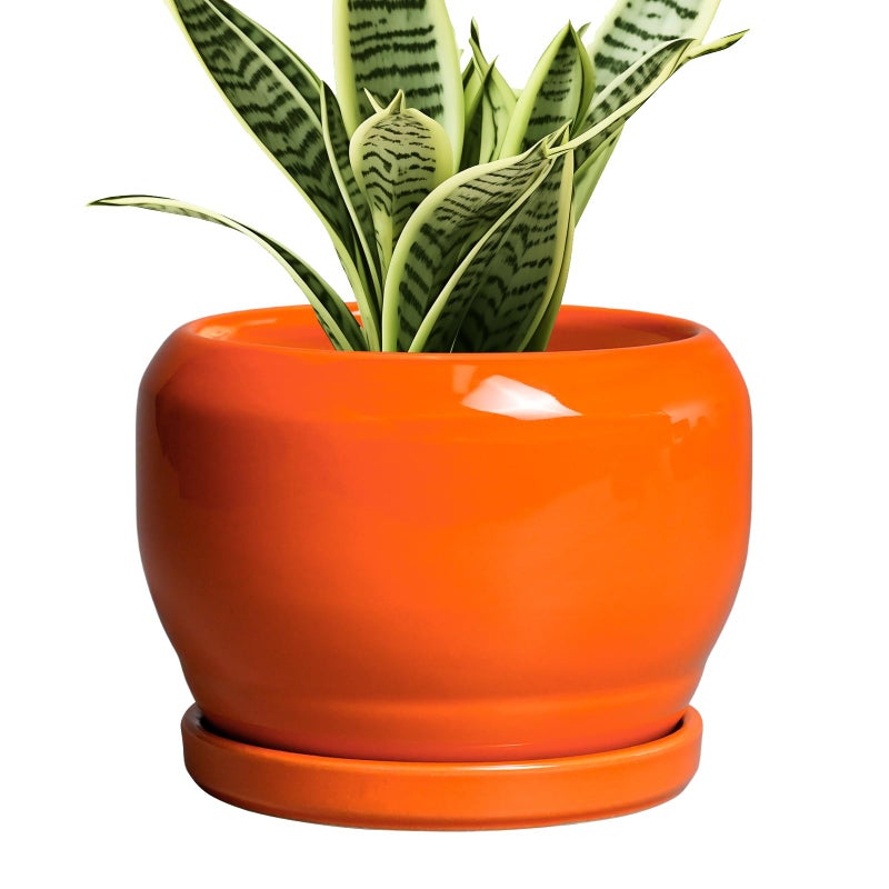 SQOWL Ceramic Plants Pots - 6 Inch Planter Indoor with Drainage Hole and Plant Saucer, Modern Round Planter Outdoor, Decorative Succulent Pot, Home Decor, Housewarming Gifts, Orange - Image 1