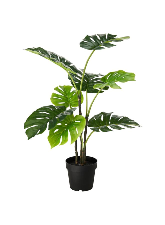 Zaboon Artificial Potted Plant, In/Outdoor Monstera, 19 Cm - Image 1