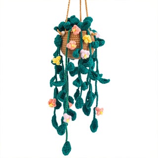 Multicolor floret hanging basket