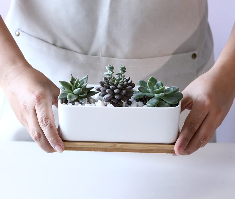 LANKER 6.5 Inch Rectangle White Ceramic Succulent Planter Pot Decorative Cactus Plant Pot Flower Container with Bamboo Tray (Rectangle 6.5 Inch) - Image 5